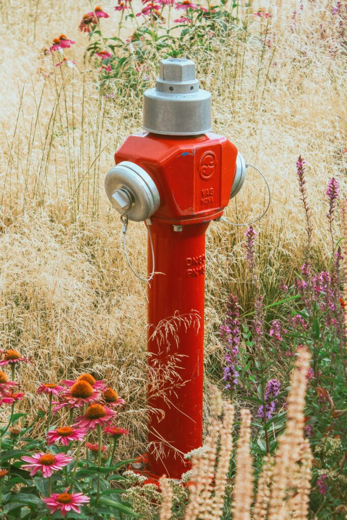 fire hydrant and flowers