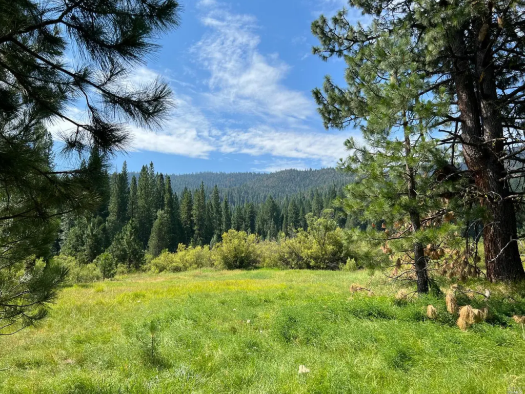 Sold lot in Plumas County