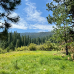 lot sold in Plumas County